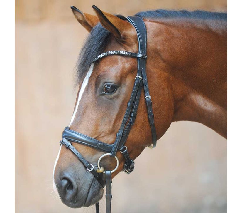 Ogłowie skórzane munsztakowe nachrapnik angielski Kavalkade Ivonne - Cavalo